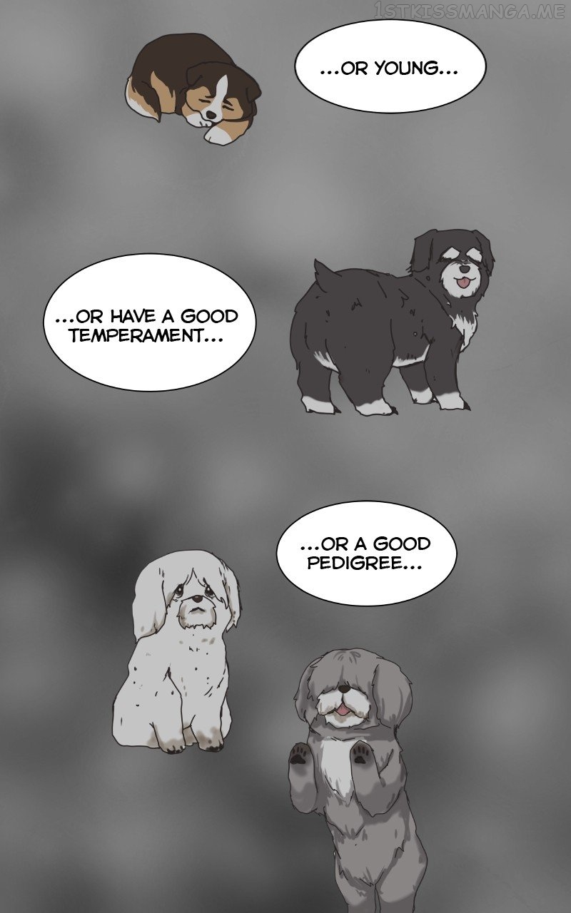 The Dog Diaries Chapter 89 - page 25