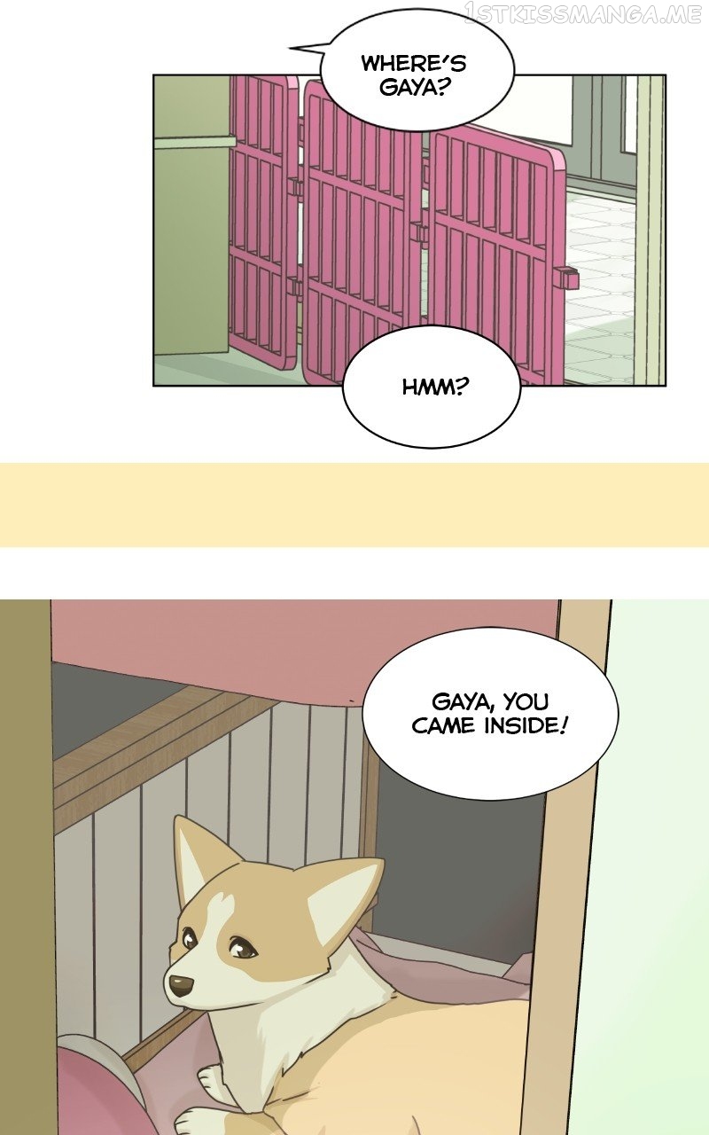 The Dog Diaries Chapter 89 - page 37