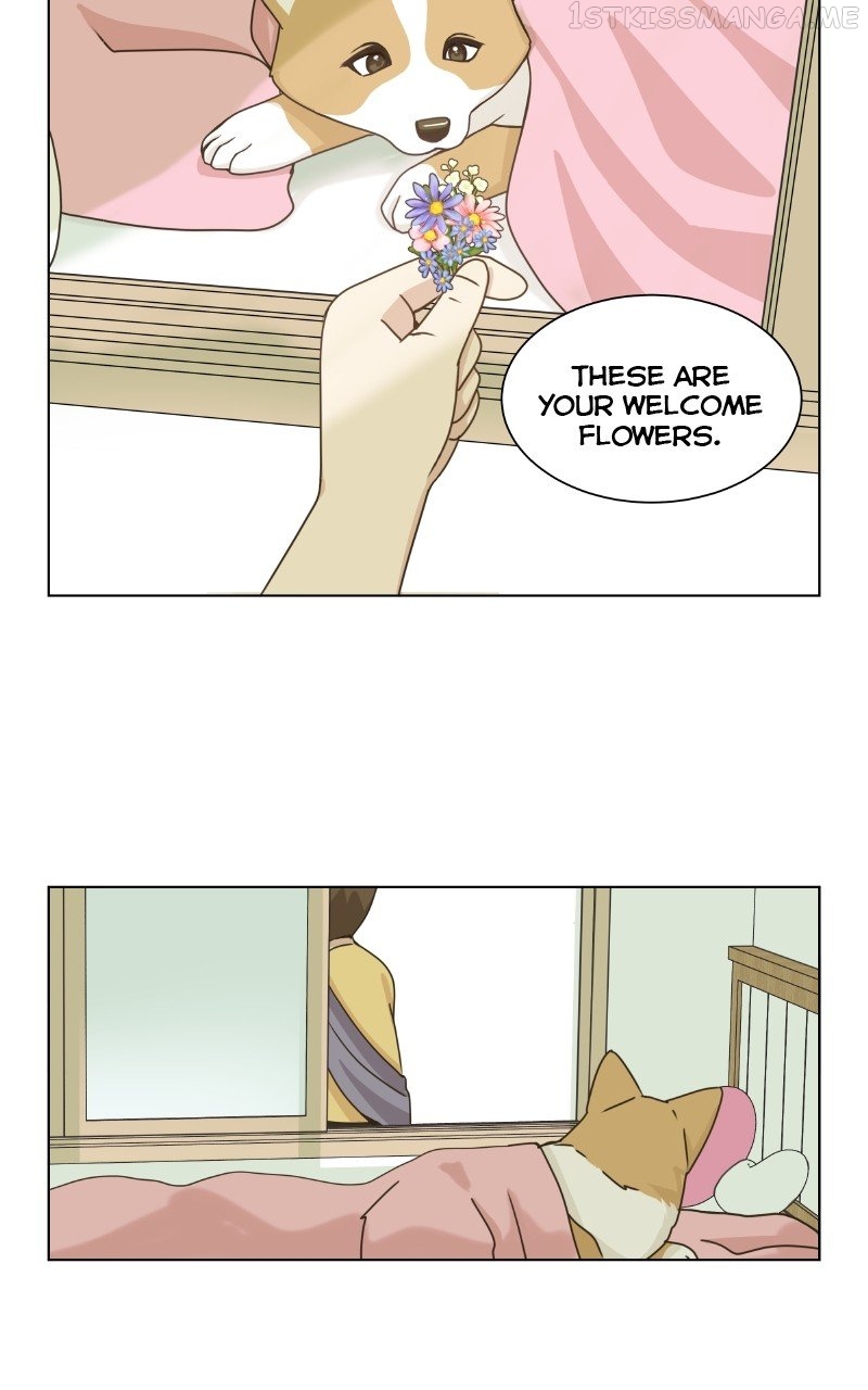 The Dog Diaries Chapter 89 - page 40
