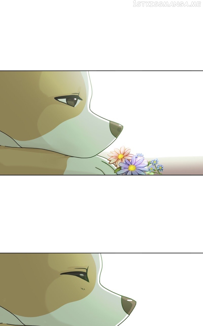 The Dog Diaries Chapter 89 - page 41