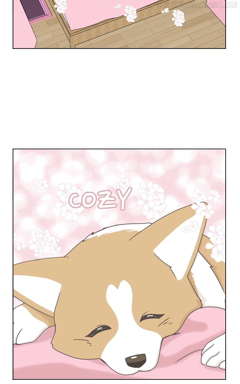 The Dog Diaries Chapter 89 - page 6