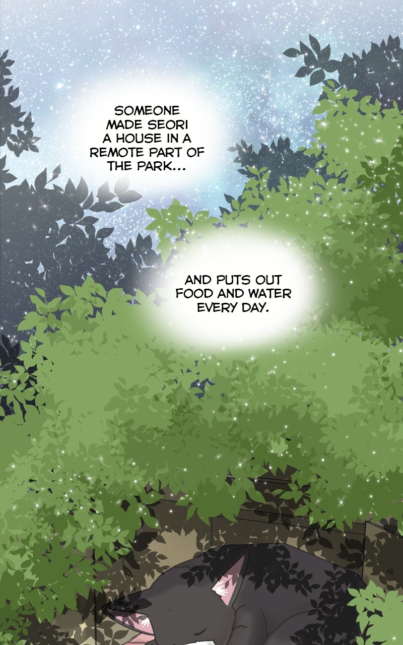 The Dog Diaries Chapter 88 - page 39