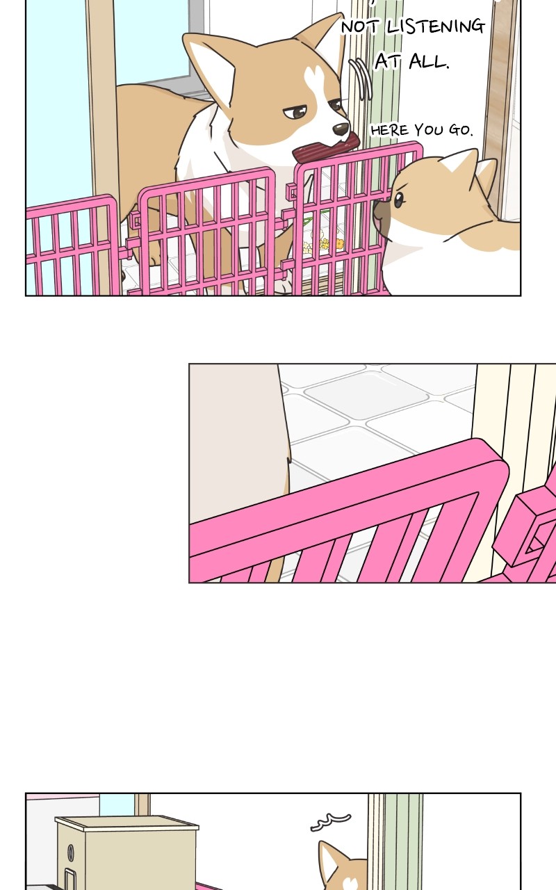 The Dog Diaries Chapter 88 - page 66