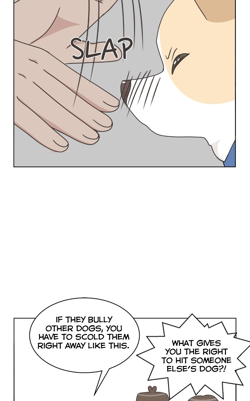 The Dog Diaries Chapter 87 - page 11