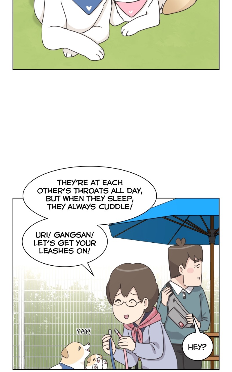 The Dog Diaries Chapter 87 - page 25