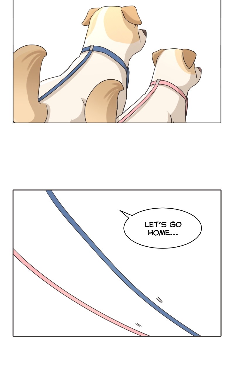 The Dog Diaries Chapter 87 - page 33