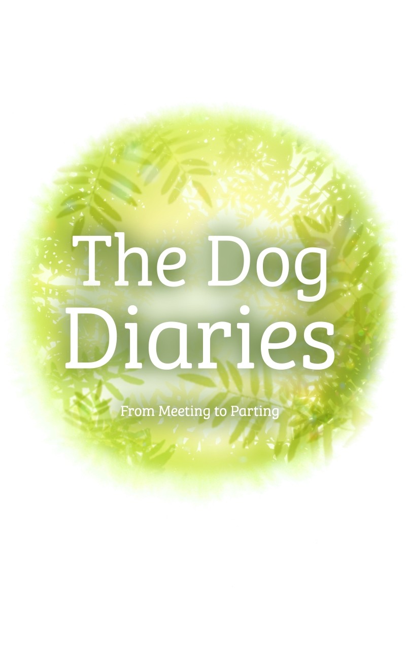 The Dog Diaries Chapter 87 - page 4