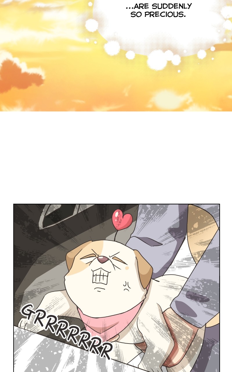 The Dog Diaries Chapter 87 - page 42