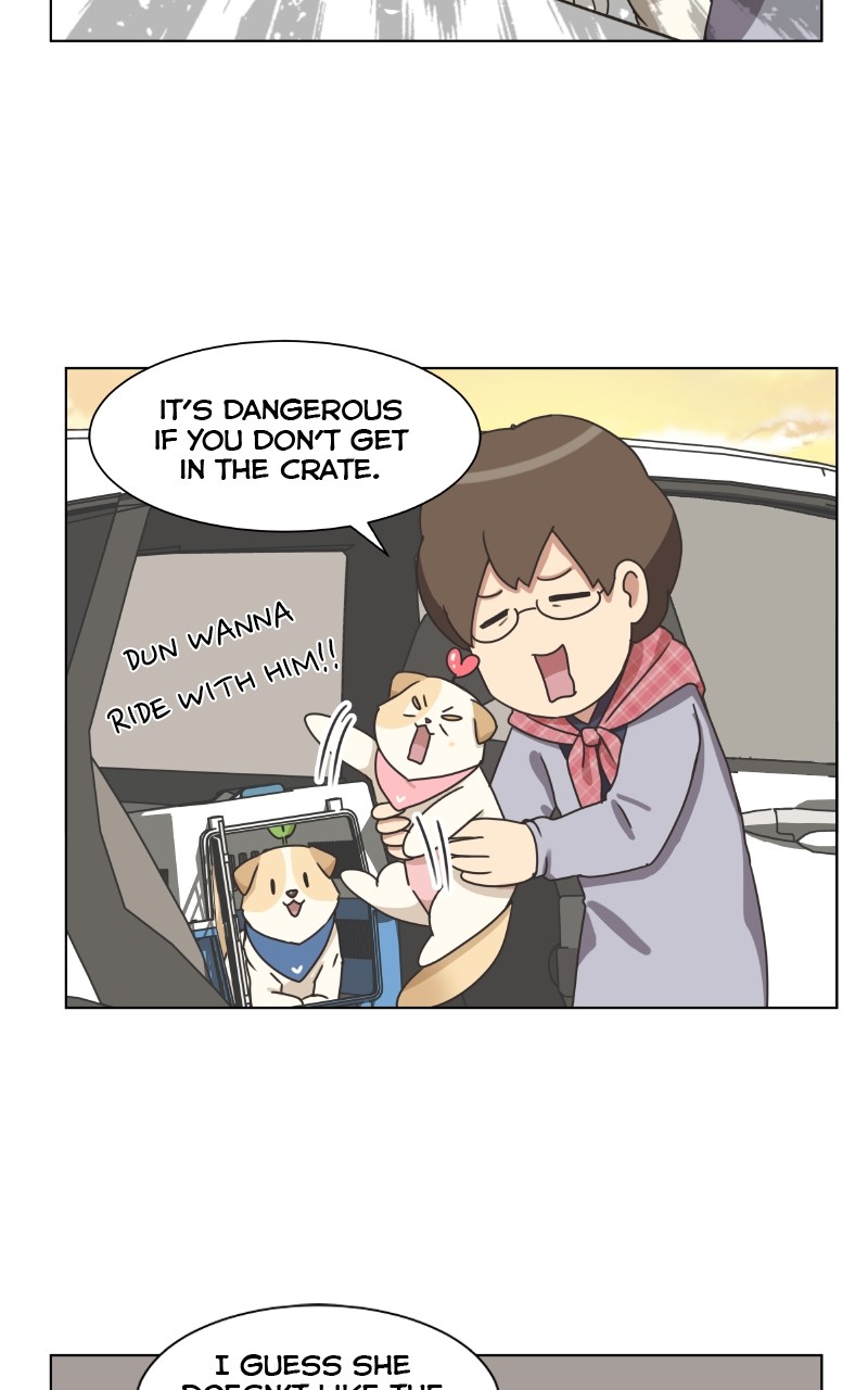 The Dog Diaries Chapter 87 - page 43