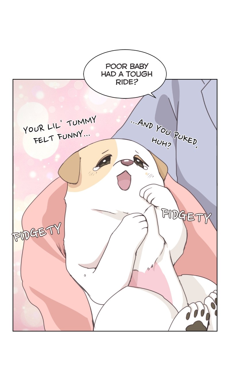 The Dog Diaries Chapter 87 - page 54