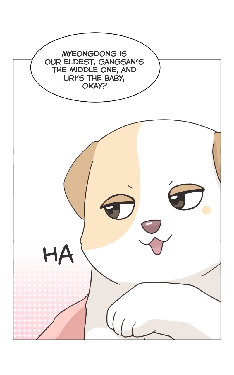 The Dog Diaries Chapter 87 - page 56