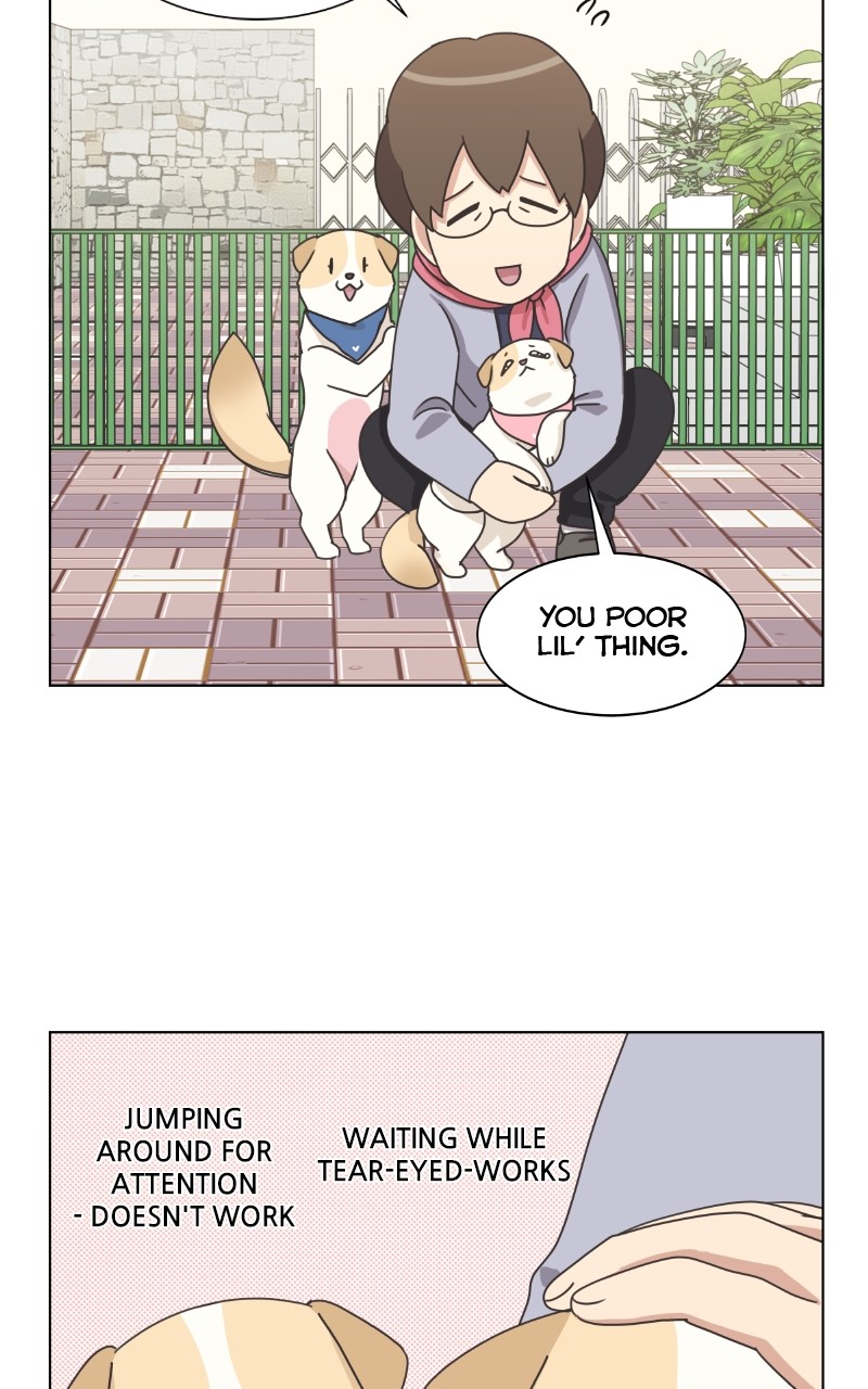 The Dog Diaries Chapter 87 - page 61