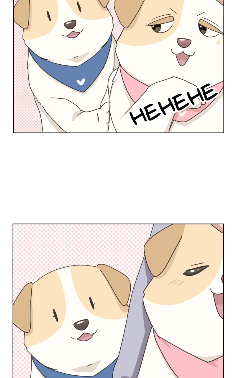 The Dog Diaries Chapter 87 - page 62