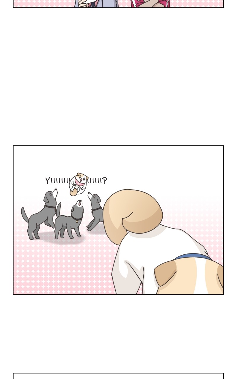 The Dog Diaries Chapter 86 - page 39