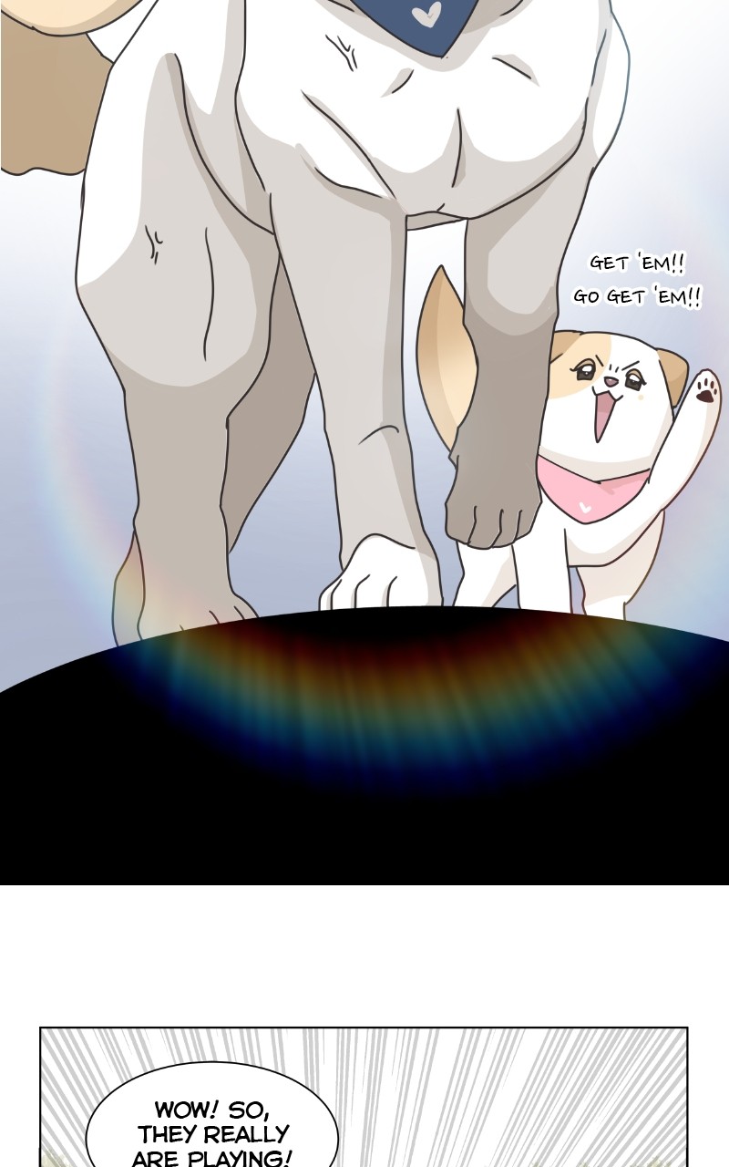 The Dog Diaries Chapter 86 - page 51