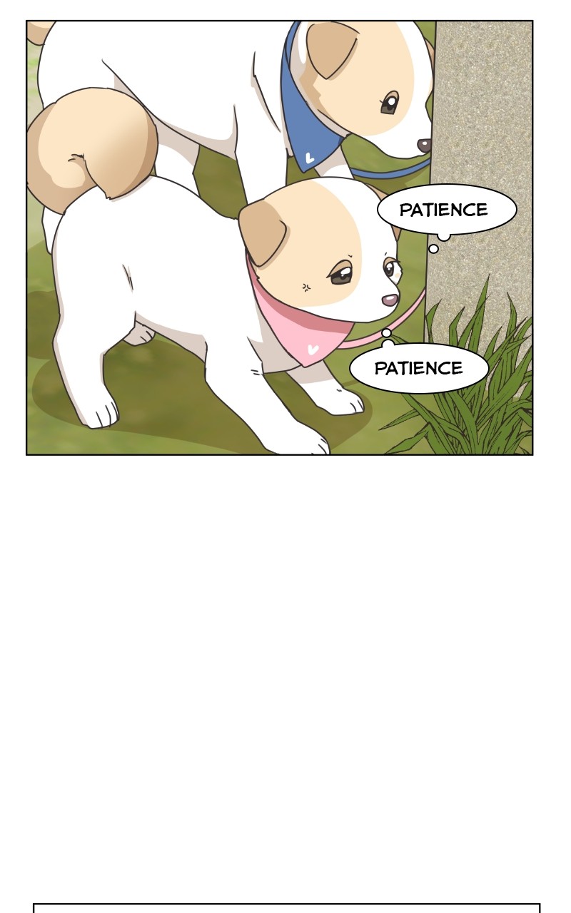 The Dog Diaries Chapter 85 - page 10