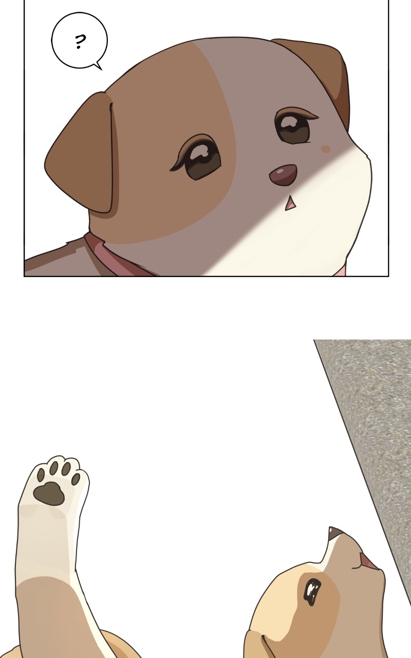 The Dog Diaries Chapter 85 - page 11