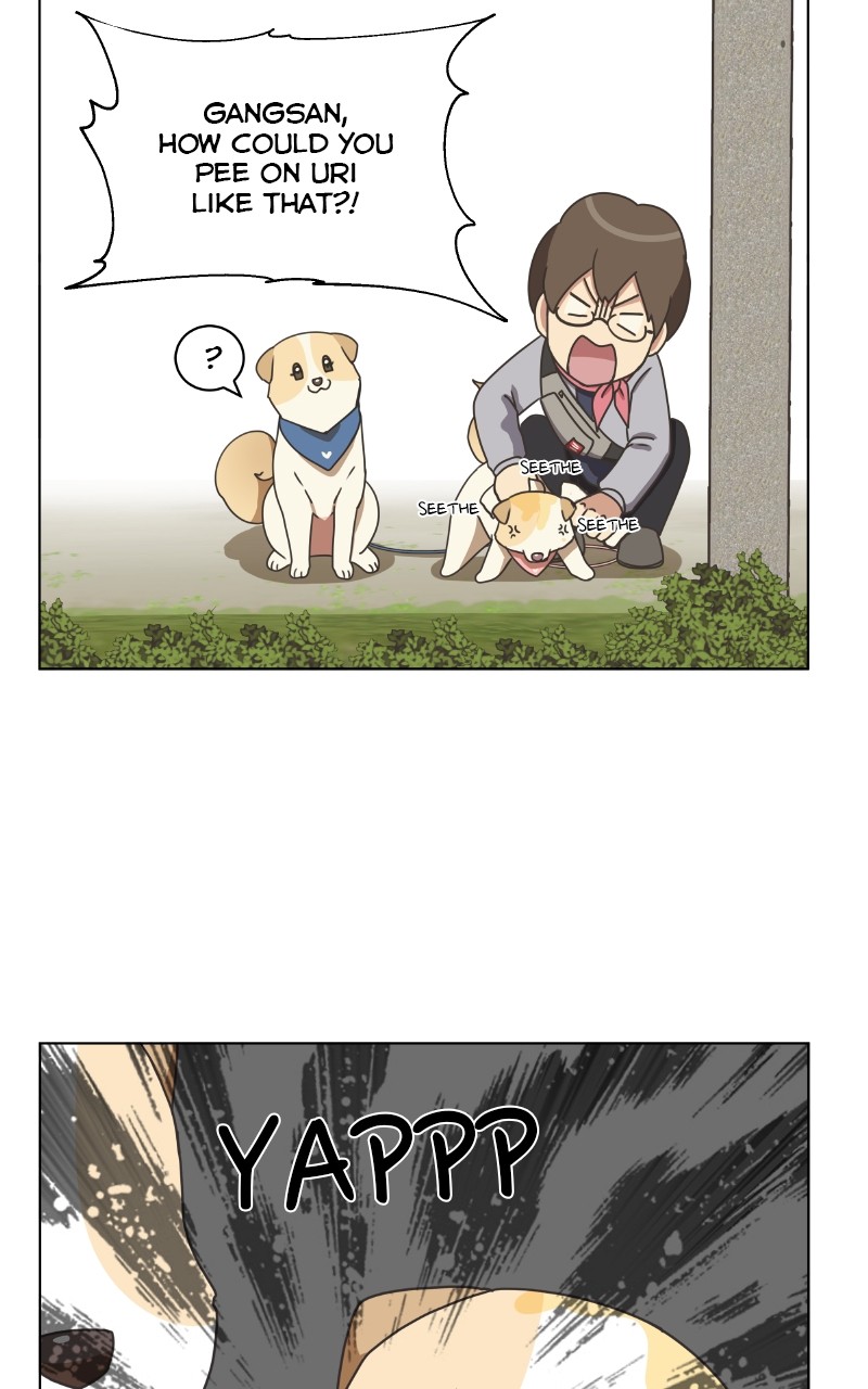 The Dog Diaries Chapter 85 - page 13