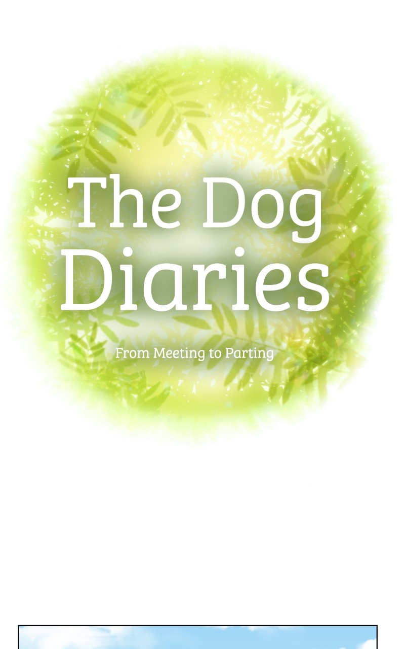 The Dog Diaries Chapter 85 - page 17