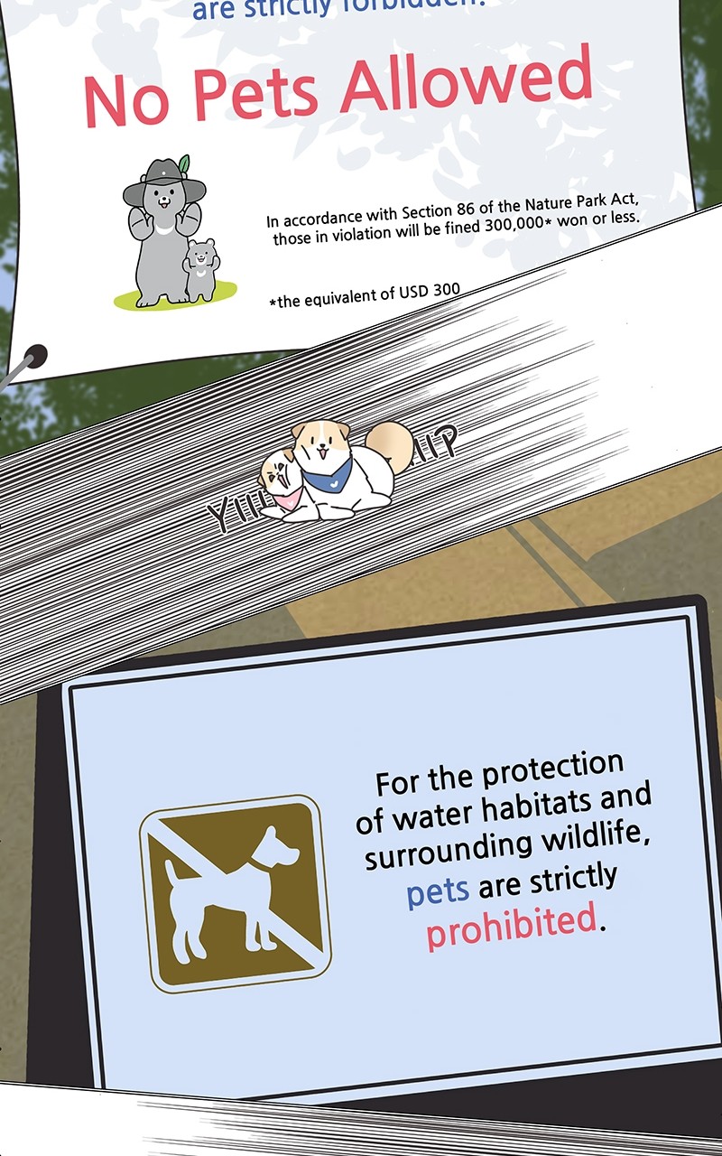 The Dog Diaries Chapter 85 - page 34