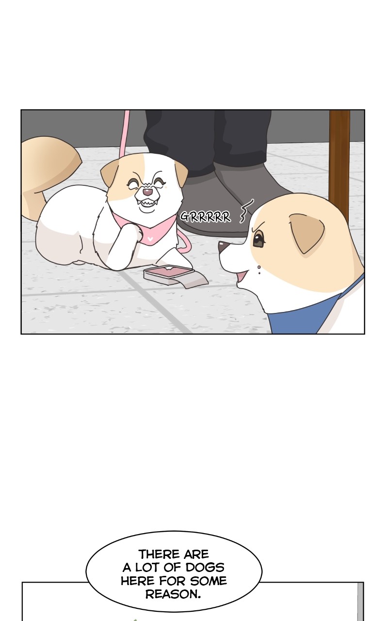 The Dog Diaries Chapter 85 - page 56