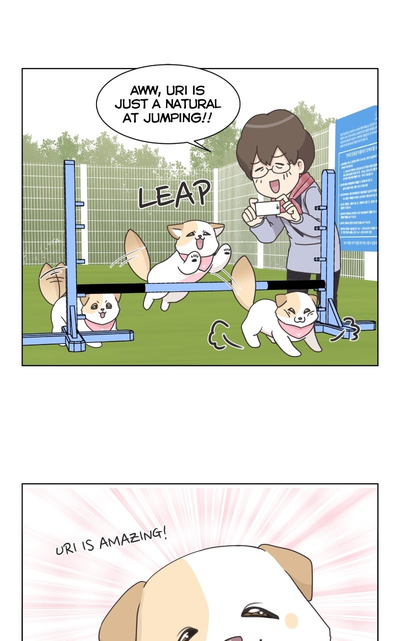 The Dog Diaries Chapter 85 - page 70