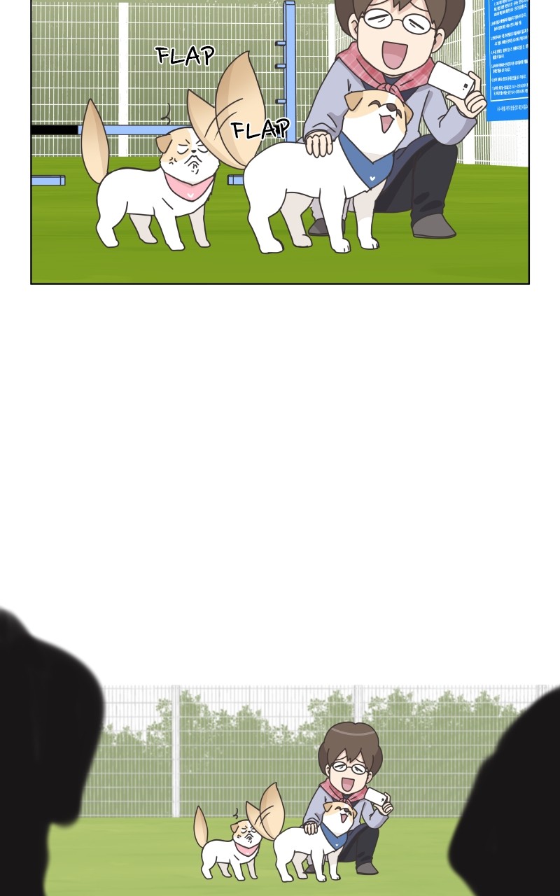 The Dog Diaries Chapter 85 - page 73