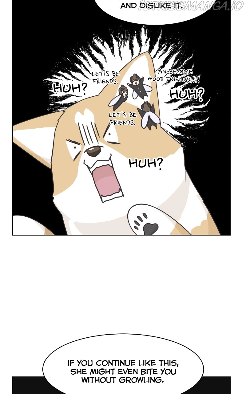 The Dog Diaries Chapter 84 - page 39