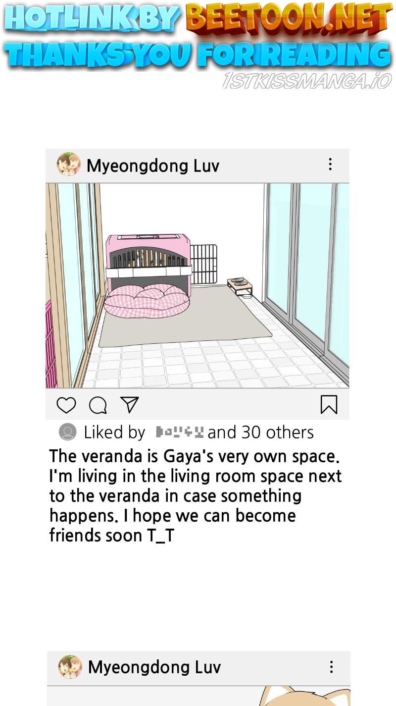 The Dog Diaries Chapter 83 - page 1