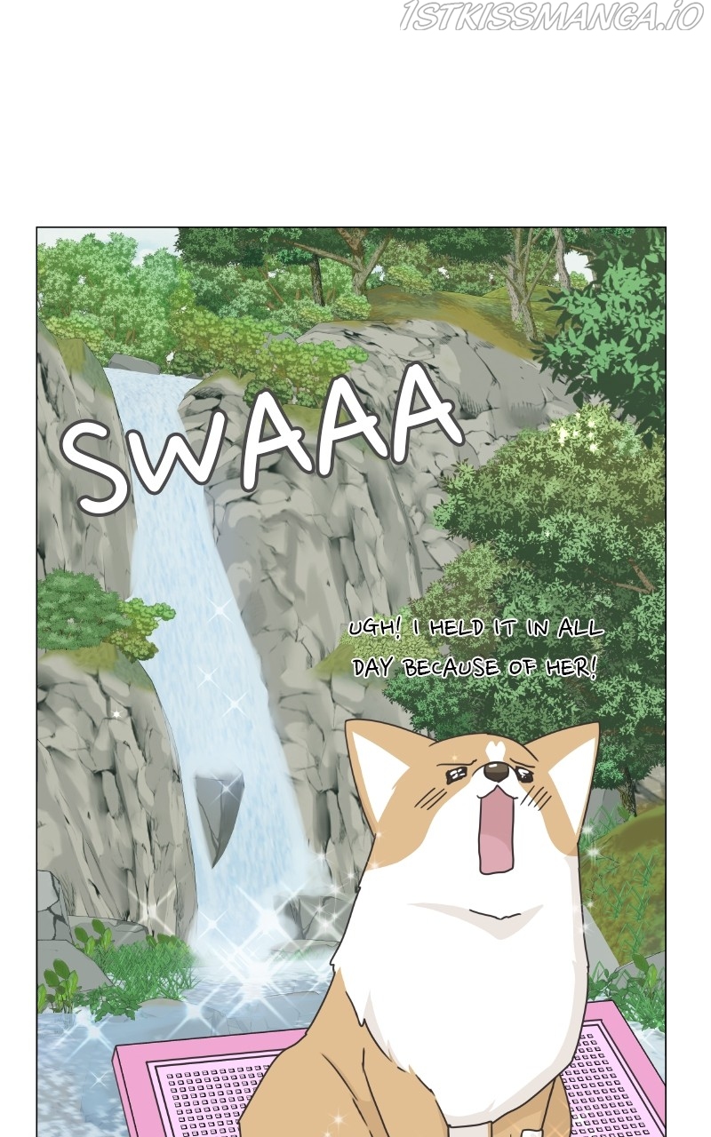 The Dog Diaries Chapter 83 - page 15