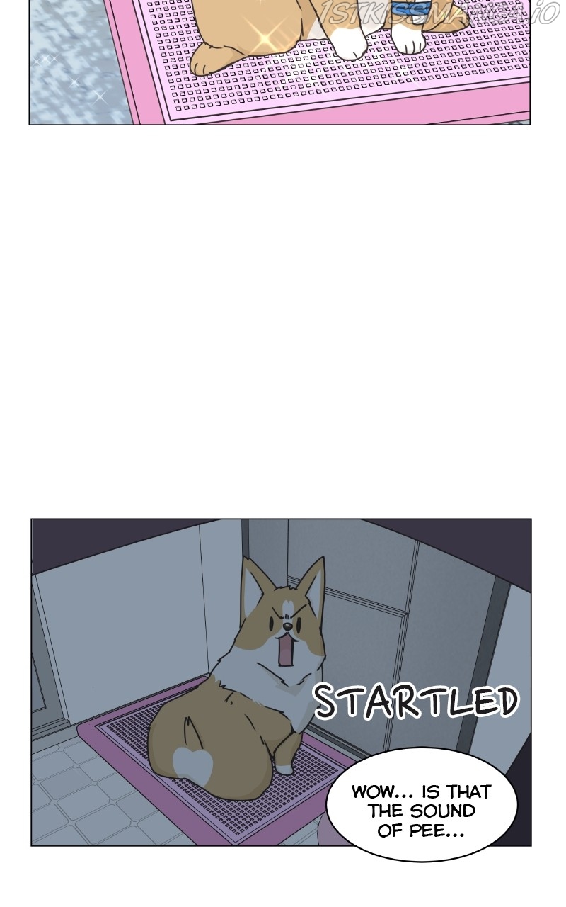 The Dog Diaries Chapter 83 - page 16