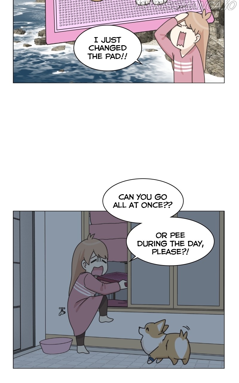 The Dog Diaries Chapter 83 - page 21