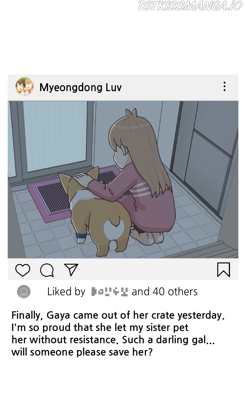 The Dog Diaries Chapter 83 - page 29