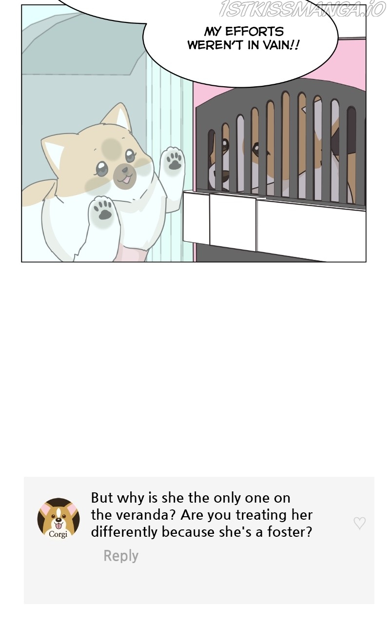 The Dog Diaries Chapter 83 - page 32