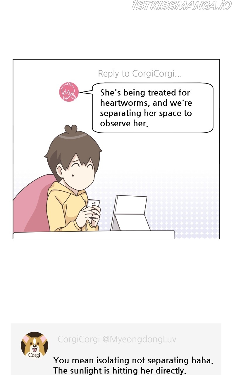 The Dog Diaries Chapter 83 - page 33