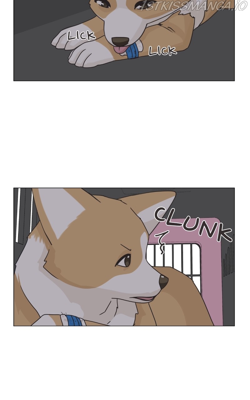 The Dog Diaries Chapter 83 - page 36