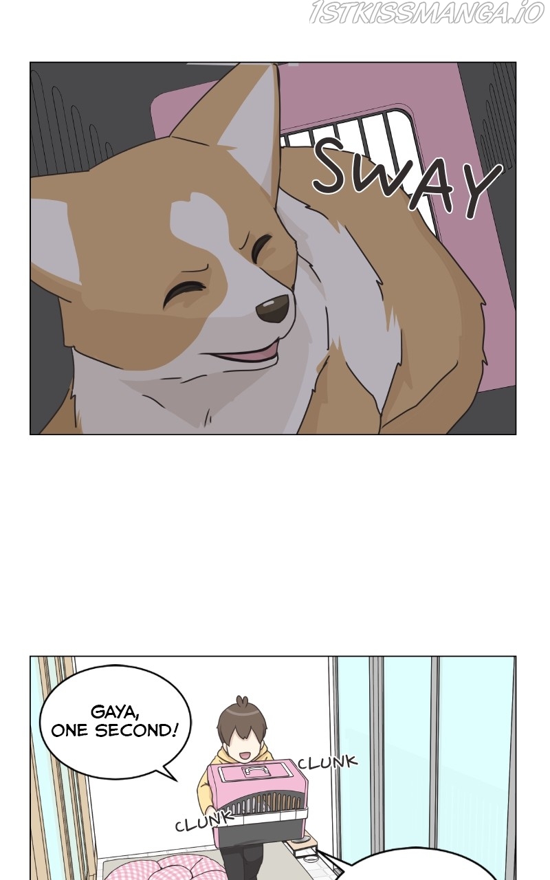 The Dog Diaries Chapter 83 - page 37