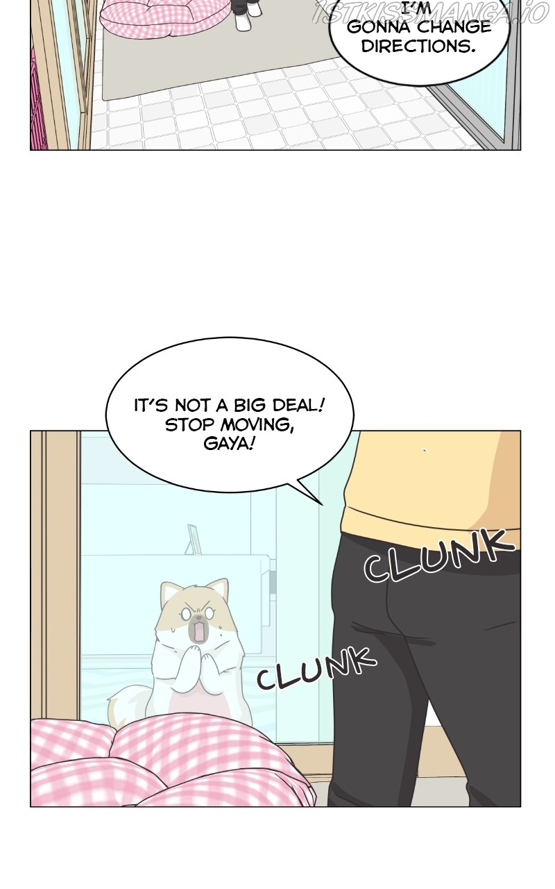 The Dog Diaries Chapter 83 - page 38