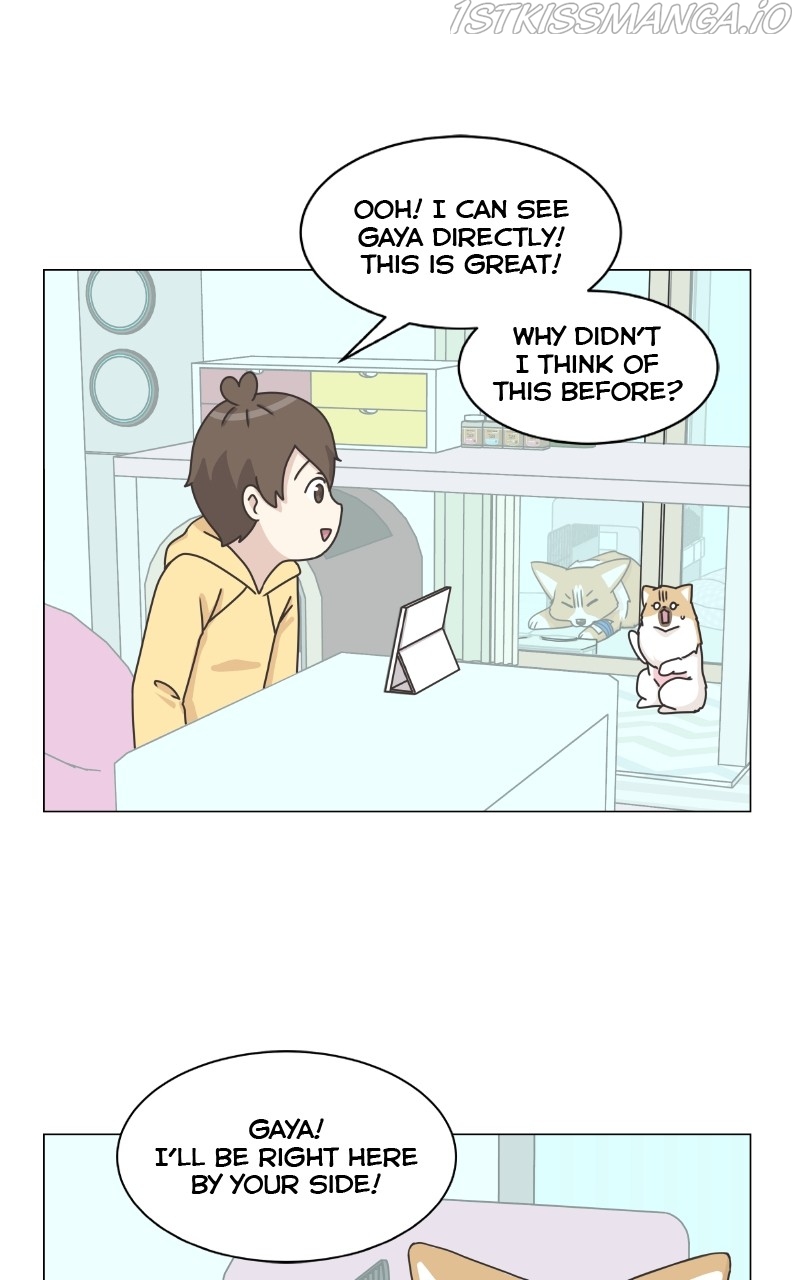 The Dog Diaries Chapter 83 - page 39
