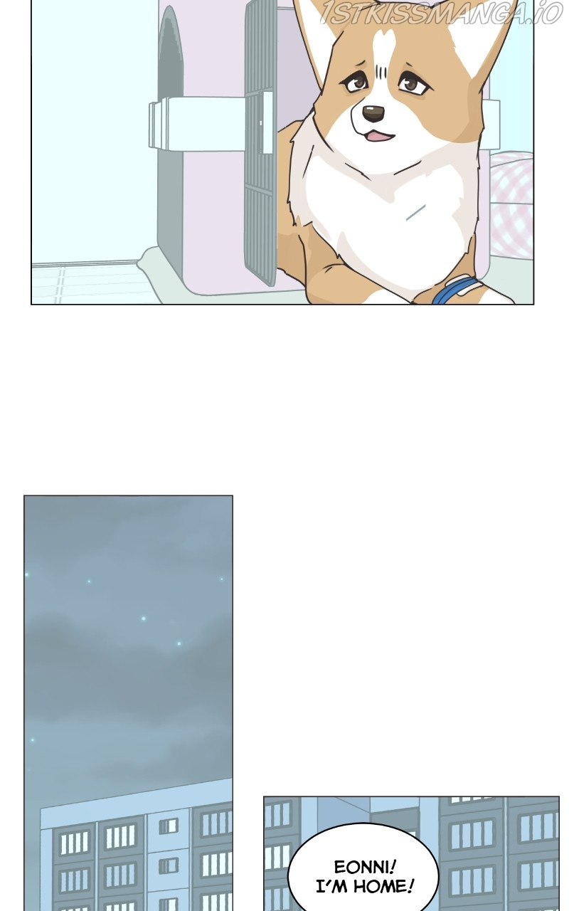 The Dog Diaries Chapter 83 - page 40