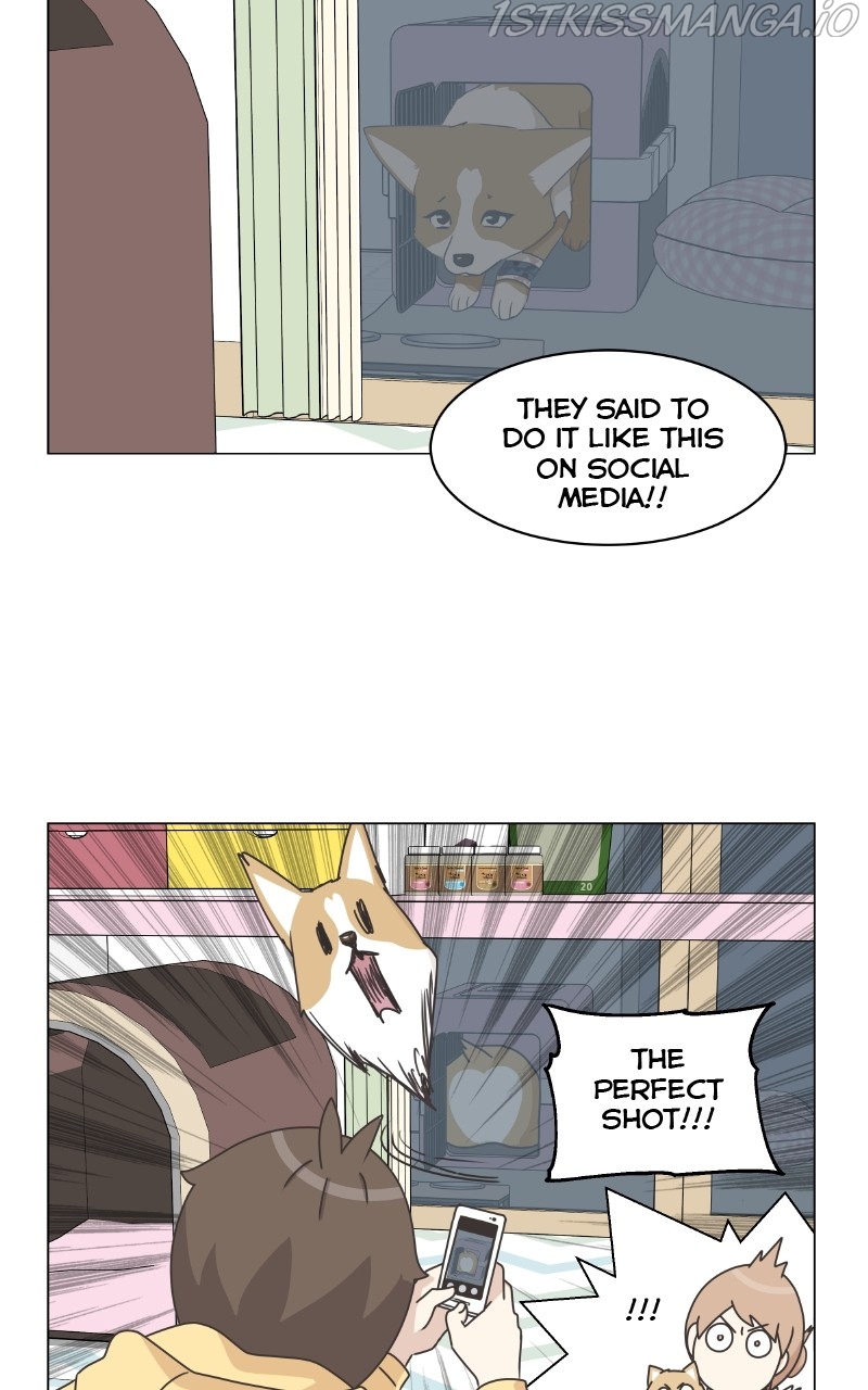The Dog Diaries Chapter 83 - page 44