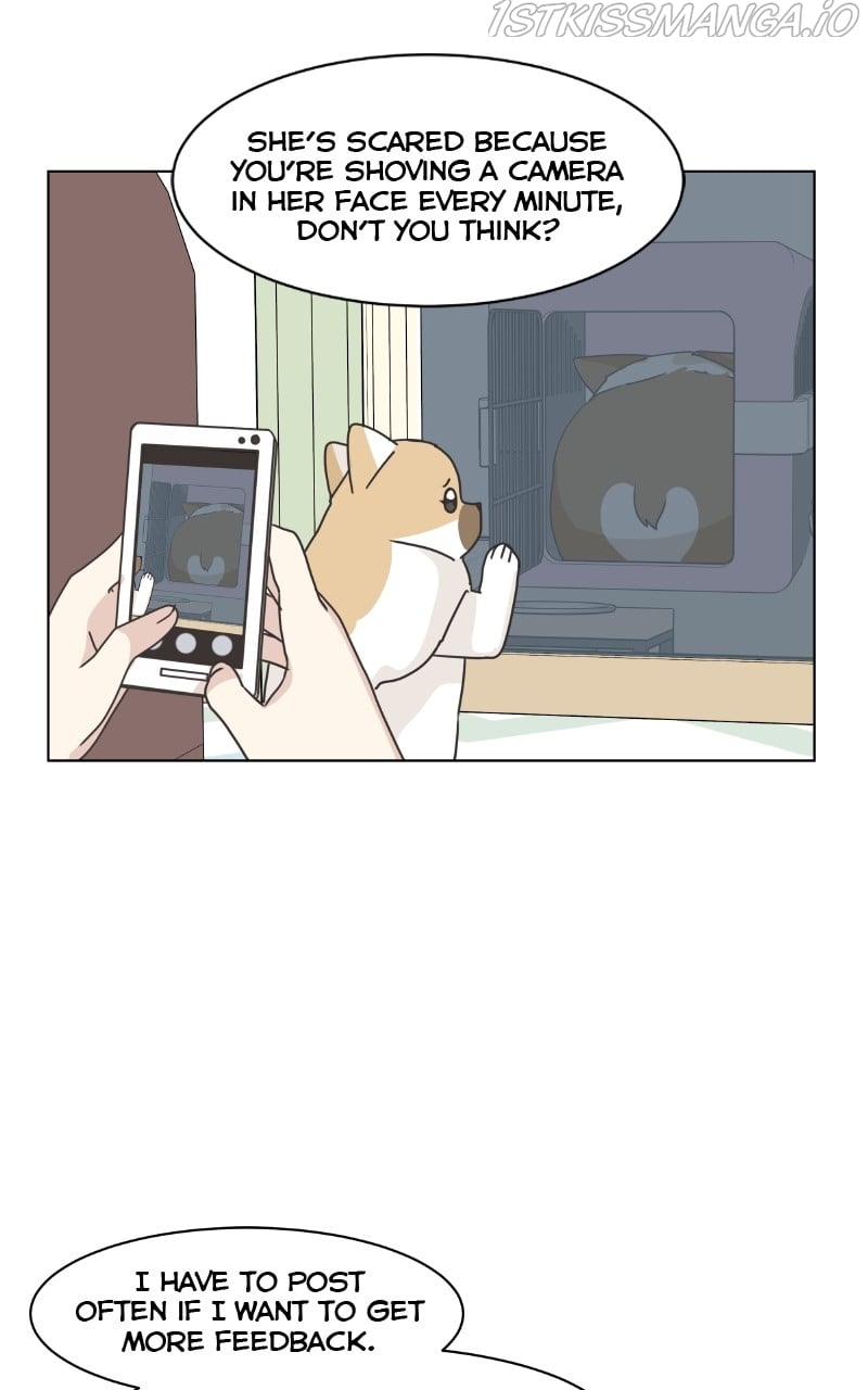 The Dog Diaries Chapter 83 - page 46
