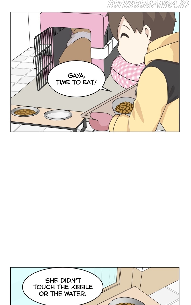 The Dog Diaries Chapter 83 - page 52