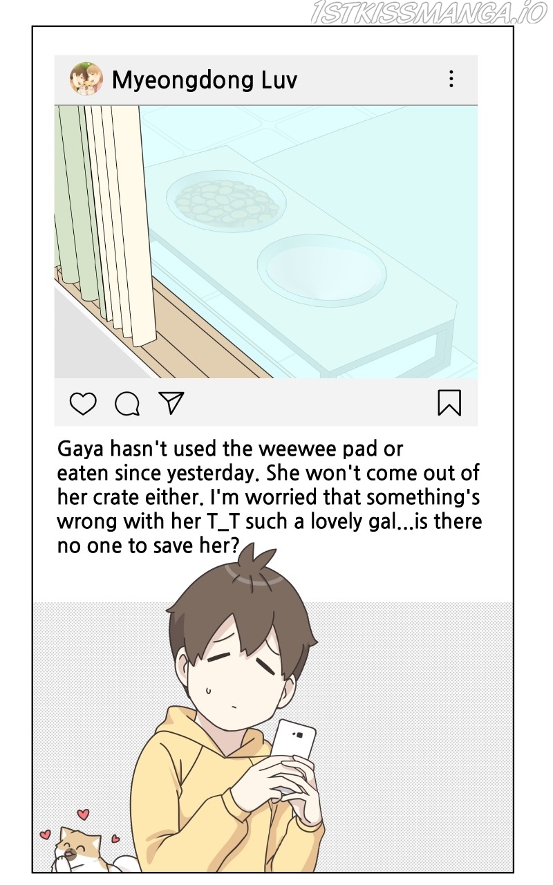 The Dog Diaries Chapter 83 - page 57