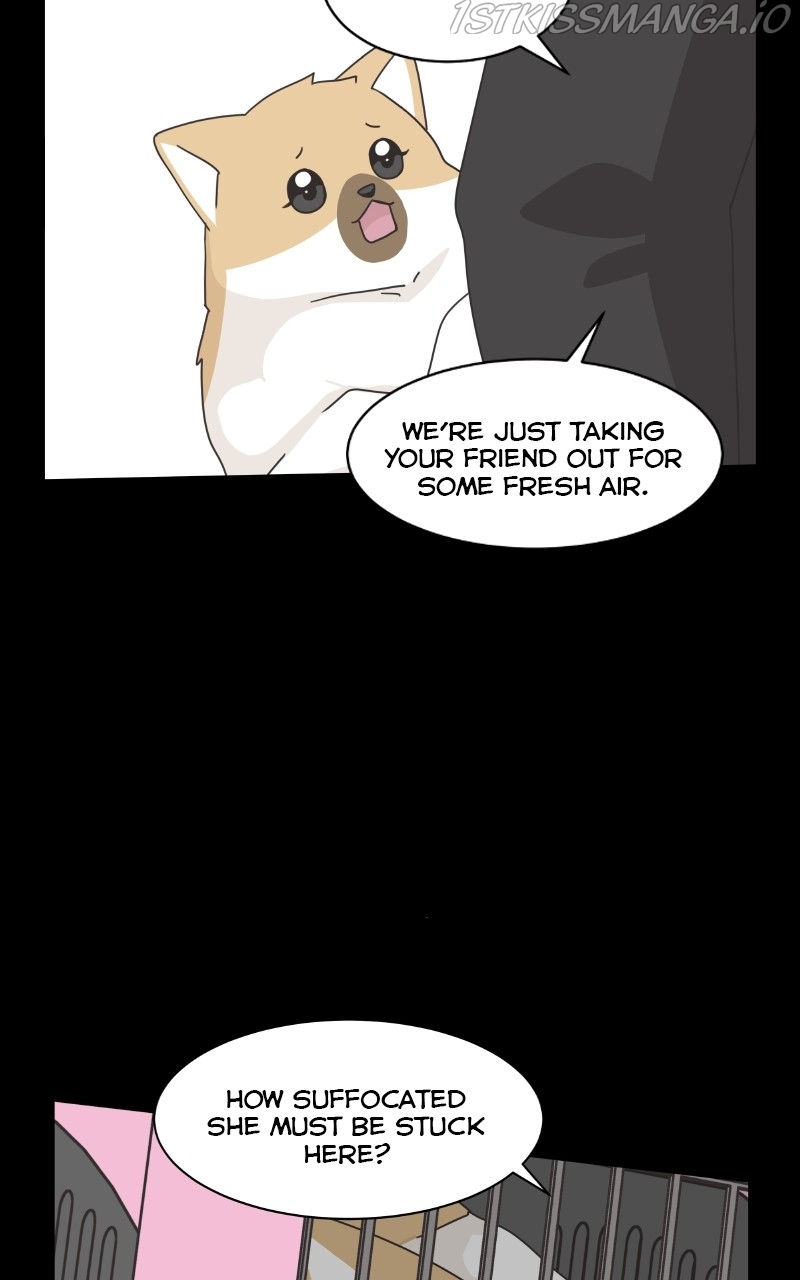The Dog Diaries Chapter 83 - page 64