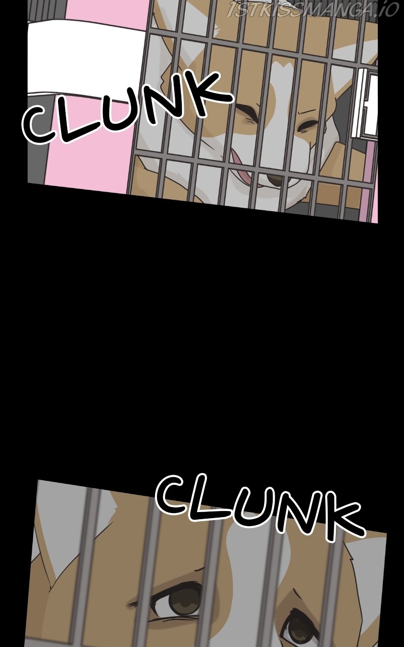 The Dog Diaries Chapter 83 - page 65