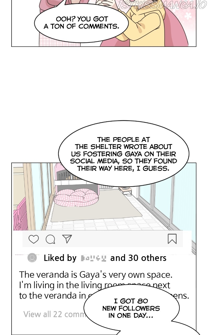 The Dog Diaries Chapter 83 - page 8