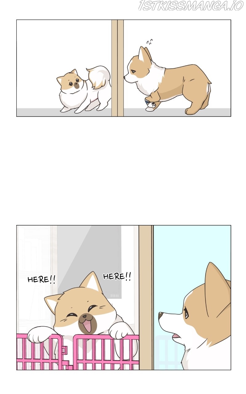 The Dog Diaries Chapter 82 - page 11