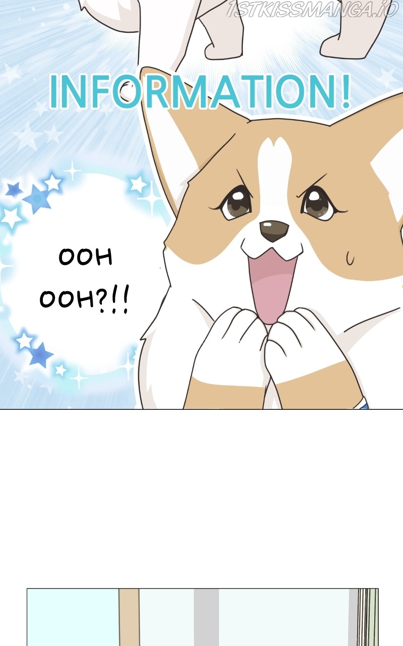 The Dog Diaries Chapter 82 - page 13