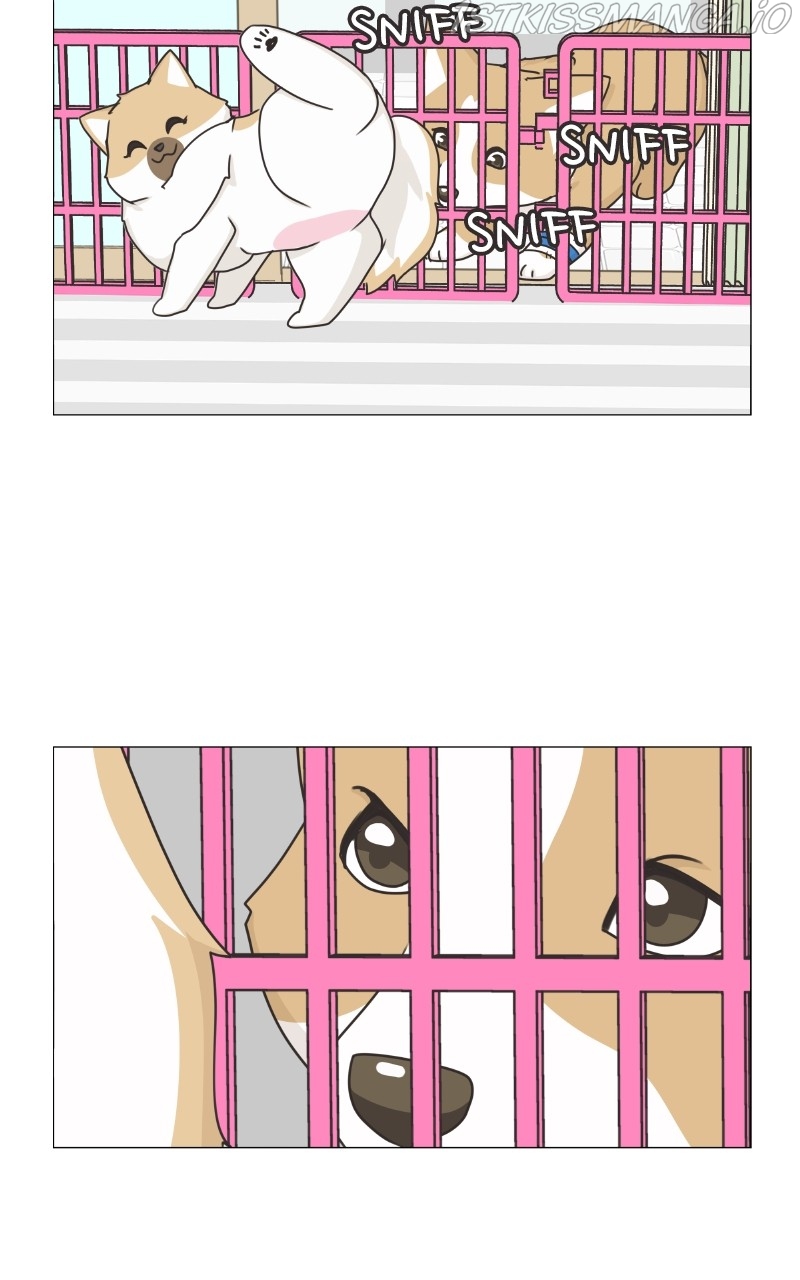 The Dog Diaries Chapter 82 - page 14